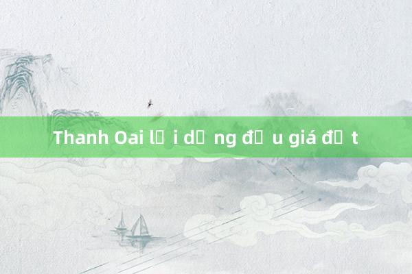 Thanh Oai lại dừng đấu giá đất