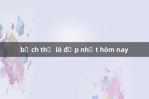 bạch thủ lô đẹp nhất hôm nay