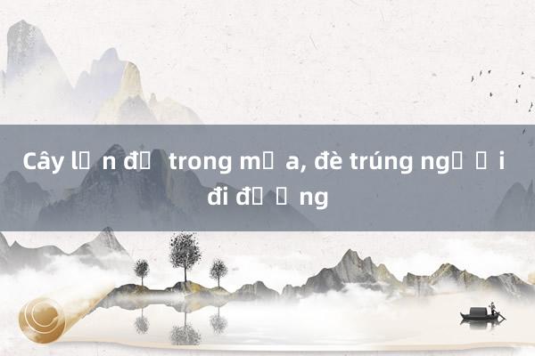 Cây lớn đổ trong mưa， đè trúng người đi đường