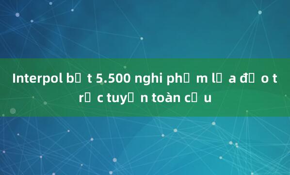 Interpol bắt 5.500 nghi phạm lừa đảo trực tuyến toàn cầu